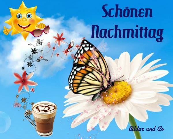 Guten nachmittag grue bilder kostenlos 008