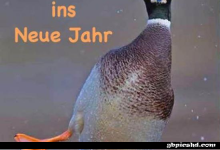 ᐅ guten rutsch lustige - Wochentage Bilder GB Pics