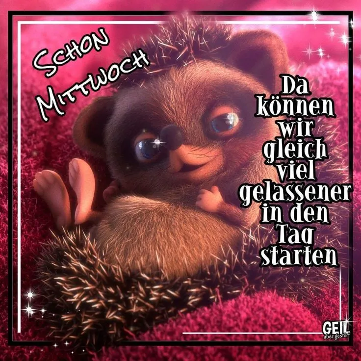 Ein niedliches, cartoonhaftes Tier mit Stacheln auf pinkem Hintergrund. Text sagt: „Schön Mittwoch“.