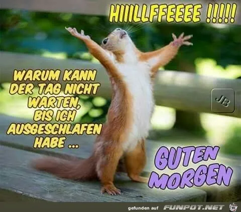 Ein Eichhörnchen mit erhobenen Armen sagt „Guten Morgen“ und sehnt sich nach Schlaf.