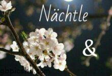 ᐅ gutes nachtle - Dienstag GB Pics