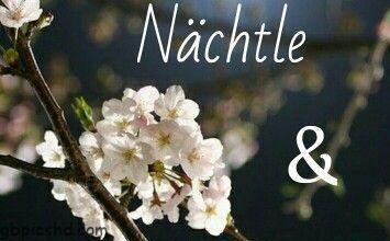 ᐅ gutes nachtle - Gute Nacht GB Pics