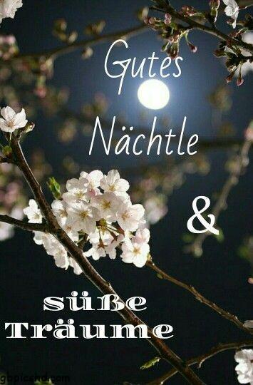 gutes nachtle