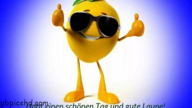 ᐅ Habt einen schonen Tag - Guten Morgen GB Pics