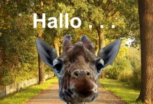 ᐅ hallo bilder facebook - Feste / Anlässe GB Pics