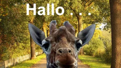 ᐅ hallo bilder facebook - Guten Morgen GB Pics