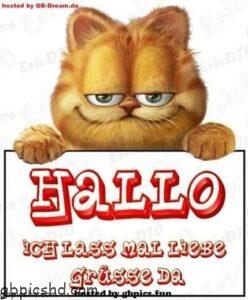 hallo bilder fur whatsapp