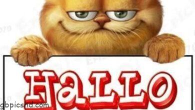 ᐅ hallo bilder für whatsapp - Hallo Bilder GB Pics