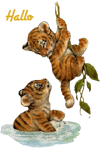 Hallo bilder gif 011