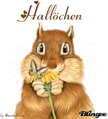 Hallo bilder gif 021