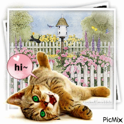 Hallo bilder gif 032