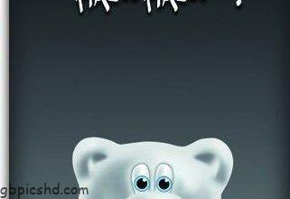 ᐅ hallo bilder jappy - Hallo Bilder GB Pics