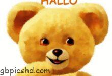 ᐅ hallo bilder lustig kostenlos - GB Pics