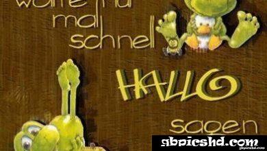 ᐅ hallo bilder spruche - Hallo Bilder GB Pics