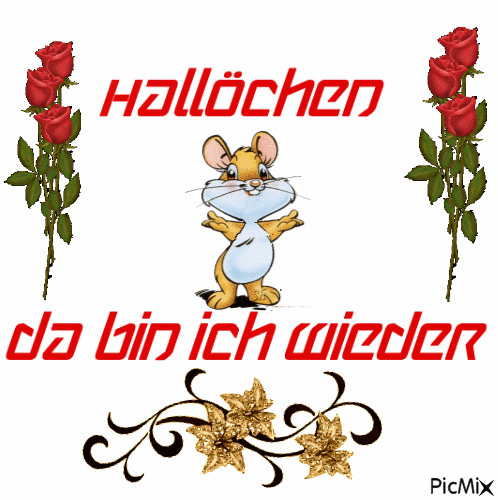 Hallo da bin ich wieder bilder 001