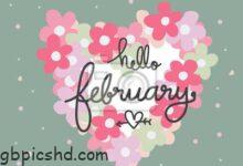 ᐅ hallo februar bilder - Gute Nacht GB Pics