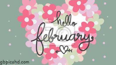 ᐅ hallo februar bilder - Hallo Bilder GB Pics