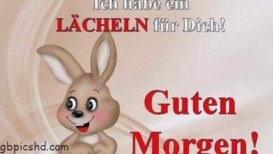 ᐅ hallo guten morgen bilder - Hallo Bilder GB Pics