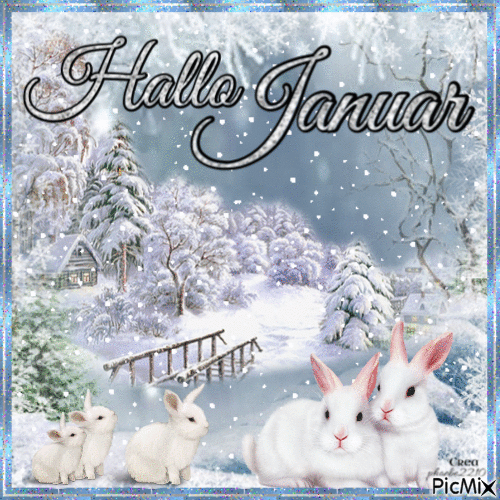 Hallo januar bilder 001