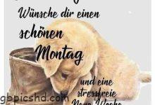 ᐅ hallo montag bilder - Nachmittag GB Pics