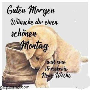 Hallo Montag Bilder – Gute-Morgen-Grüße für einen perfekten Start in die Woche