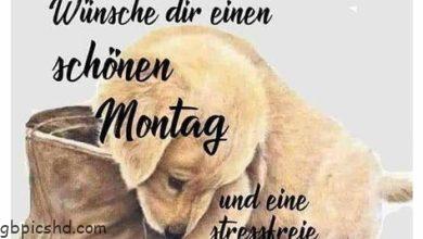 ᐅ hallo montag bilder - Wochenende Bilder GB Pics
