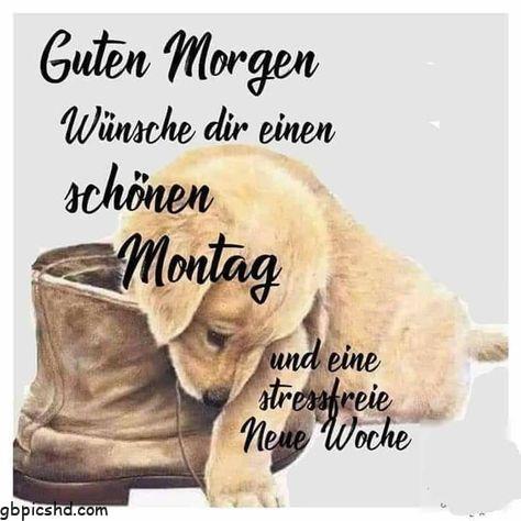 hallo montag bilder