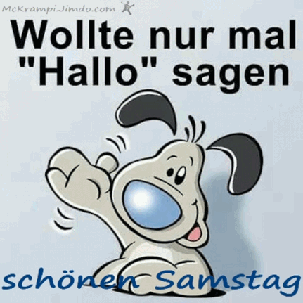 hallo samstag bilder