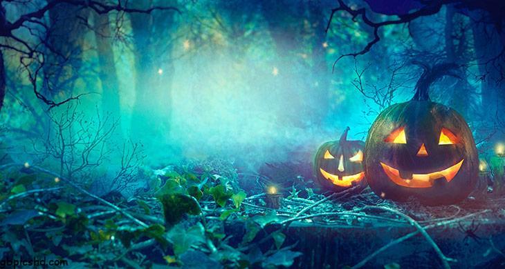 halloween bilder gruselig