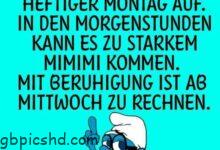 ᐅ hasse montag bilder - GB Pics