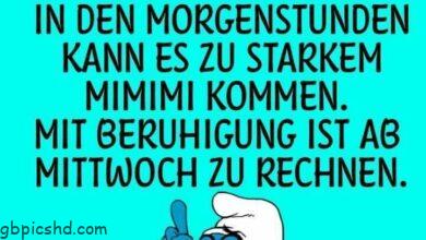 ᐅ hasse montag bilder - Montag GB Pics