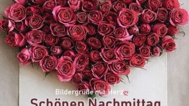 ᐅ Herz Schönen Nachmittag Bilder - Nachmittag GB Pics