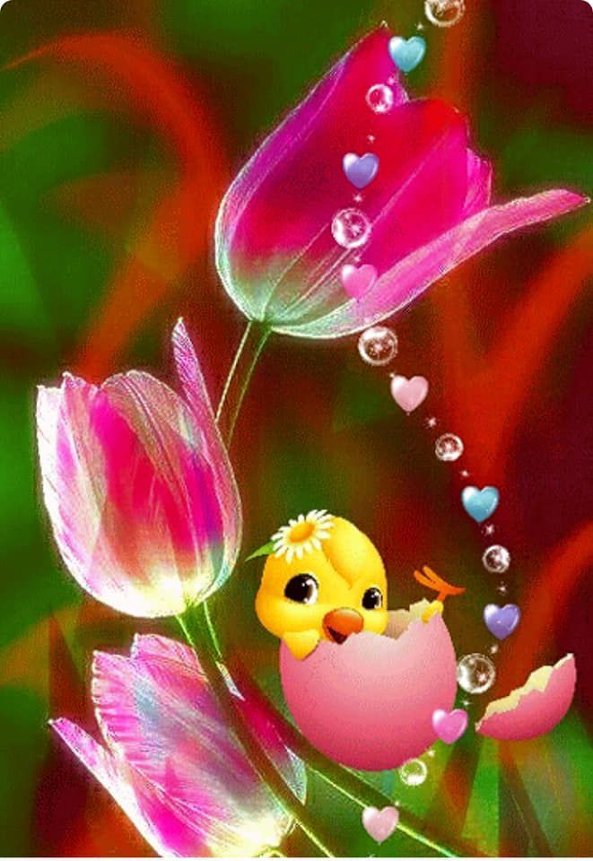 Herzlichegrueauffranzosisch 001