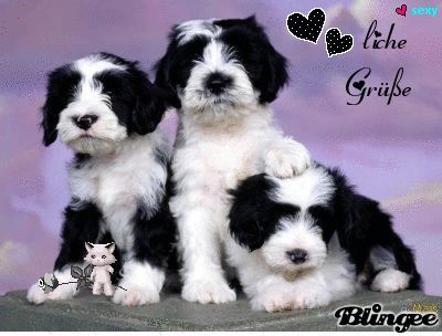 Herzlichegrueauffranzosisch 008