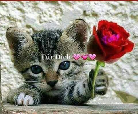 Herzlichegrueauffranzosisch 022