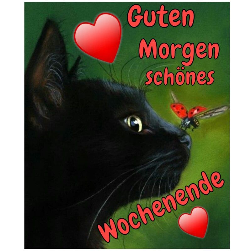 Herzlichegrueauffranzosisch 029