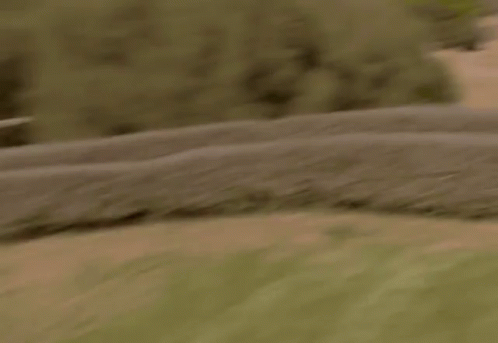 Herzlichen gluckwunsch zum geburtstag bilder 023