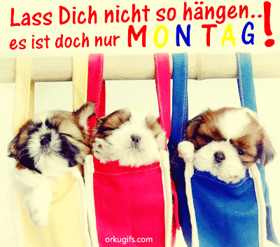 hilfe montag bilder