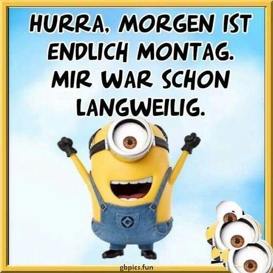 hurra montag bilder