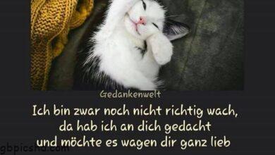 ᐅ Ich bin wach! Gedankenwelt Guten Morgen! - Guten Morgen GB Pics