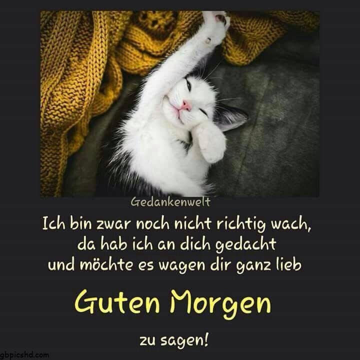 Ich bin wach! Gedankenwelt Guten Morgen!