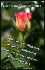 Wunderschonen Freitag