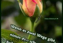 ᐅ Wunderschonen Freitag - Sonntag GB Pics