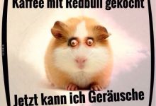 ᐅ jetzt kann ich gerausche sehen lustige bilder spruche witze echt lustig - Guten Morgen GB Pics