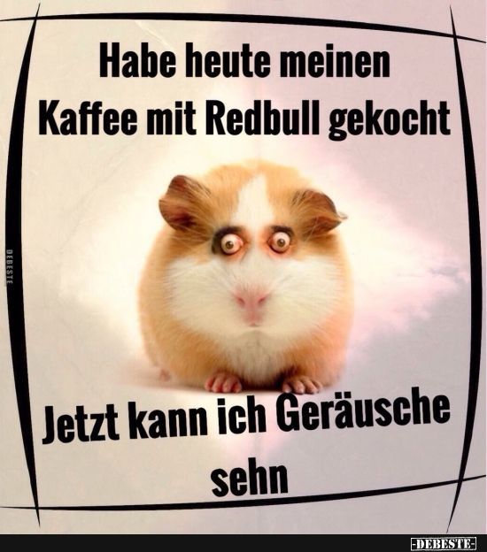 Jetzt kann ich gerausche sehen lustige bilder spruche witze echt lustig 001
