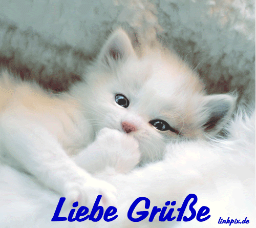 ᐅ liebe gruse bilder kostenlos - Liebe Gruse GB Pics