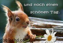 ᐅ liebe gruse bilder lustig - Gute Nacht GB Pics