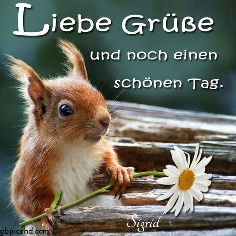 liebe gruse bilder lustig