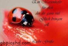 ᐅ liebe gruse bilder spruche - GB Pics