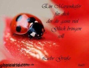 liebe gruse bilder spruche